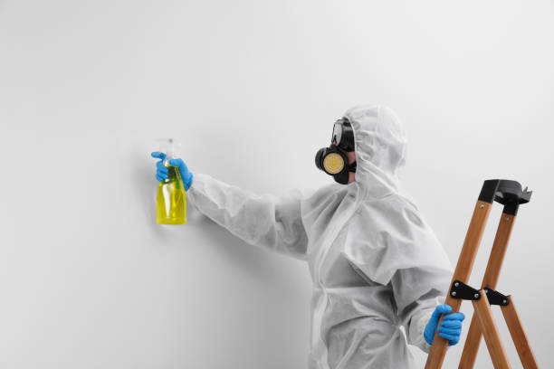 Asbestos and Lead Testing During Mold Inspection